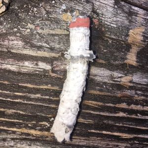 Meet your Posher, Jacob